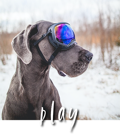 Play